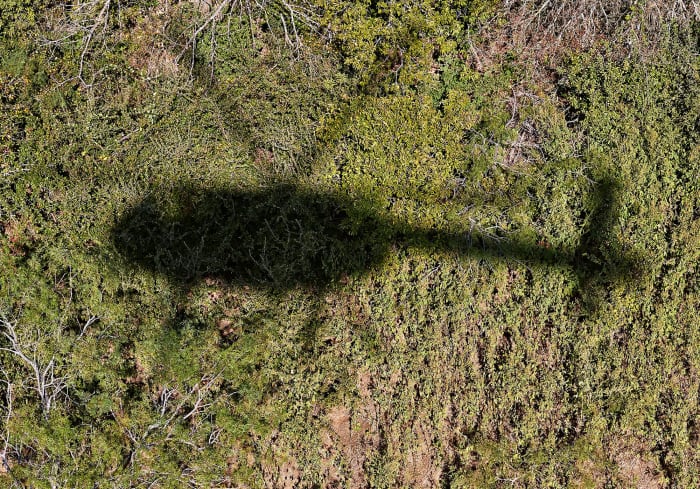 X162952_TK1_1556_rawFinal.w